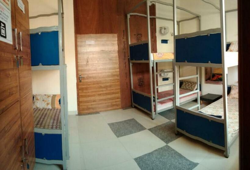 Кровать в Общей Комнате, Taj Backpackers Hostel