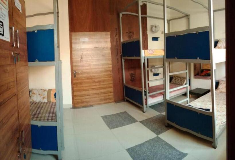 共用房间的床, Taj Street Hostel