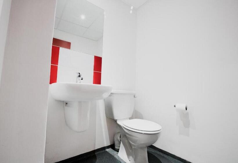 Кровать в Общей Комнате, 91 Loop Boutique Hostel