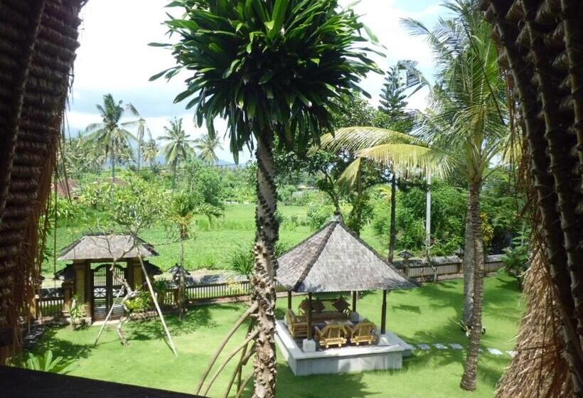 수피리어 트리플 룸, Aashaya Jasri Resort
