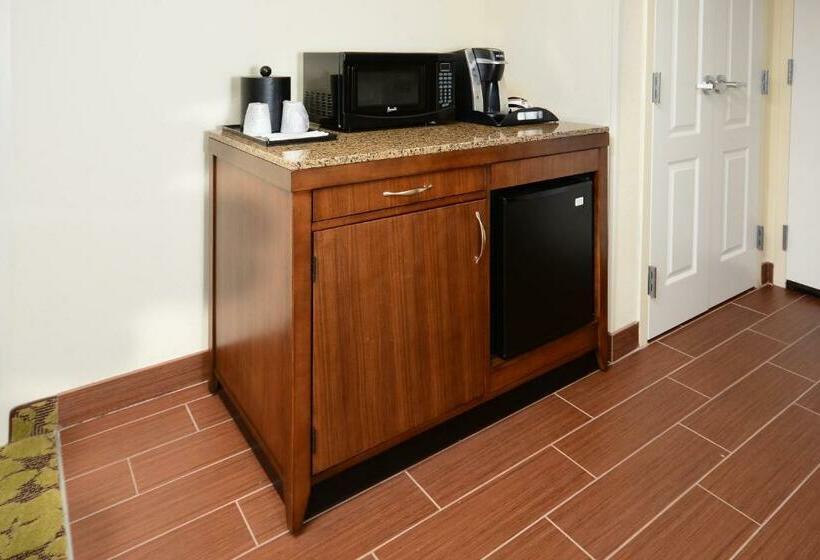 Номер Стандарт Кровать Кинг Адаптированный для Инвалидов, Hilton Garden Inn Greensboro Airport