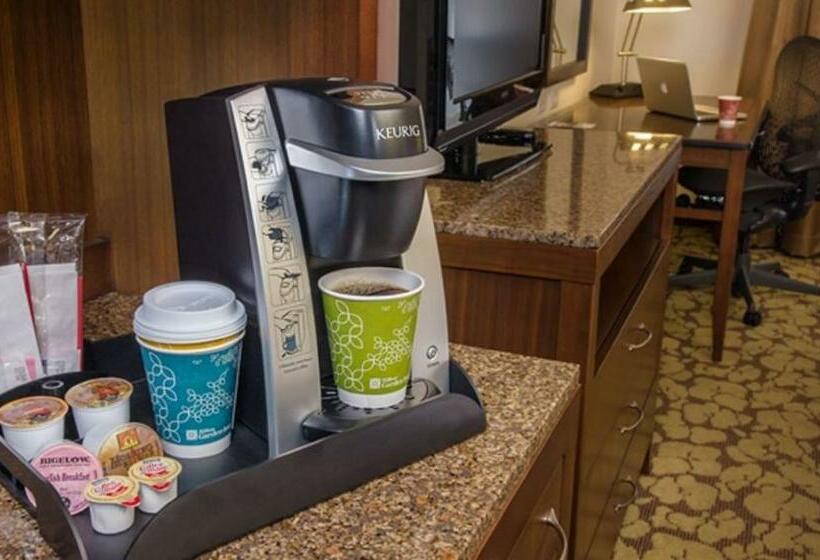 Стандартный Номер Кровать Кинг, Hilton Garden Inn Greensboro Airport