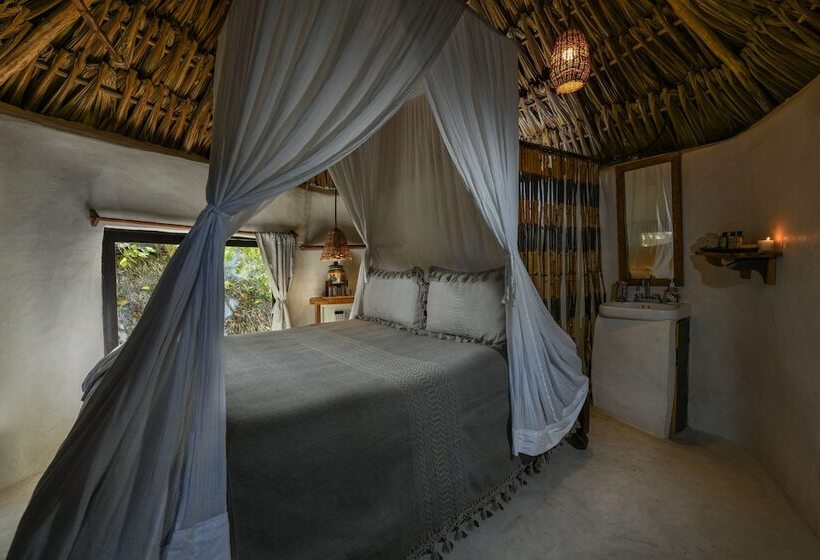 バンガロー・エコノミー, Diamante K   Inside Tulum National Park