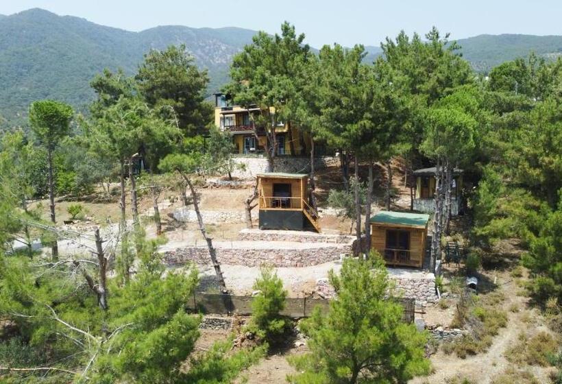 Номер Стандарт Вид на Горы, Sarı Konak Butik Otel