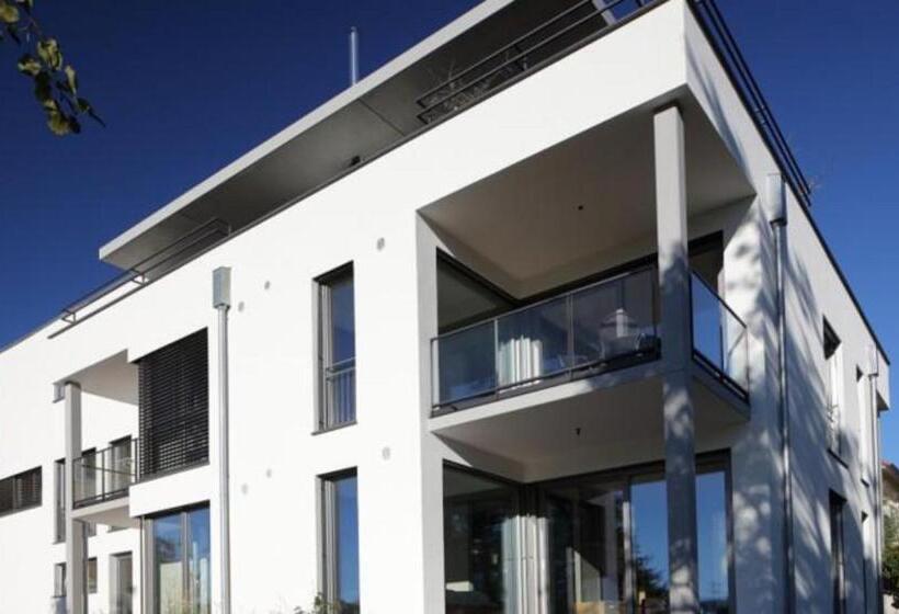 Апартаменты 1 Спальня с Террасой, Hewen Apartments