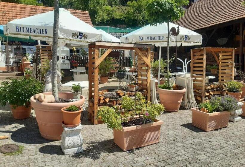Номер Комфорт Индивидуальный, Pension Zur Schönen Aussicht