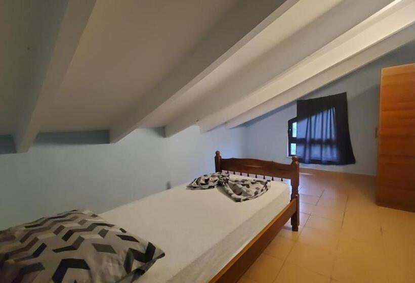 스탠다드 싱글 룸, Traveler Hostel