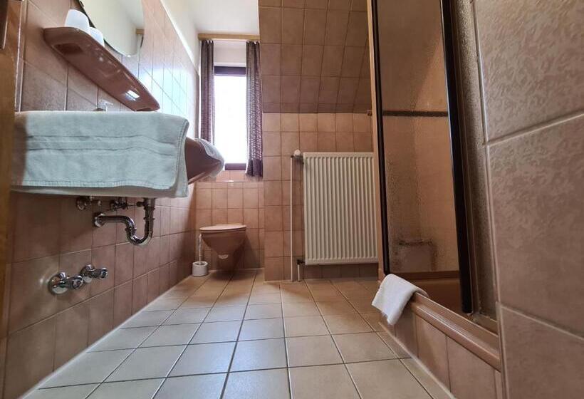 Номер Стандарт, Ceteno