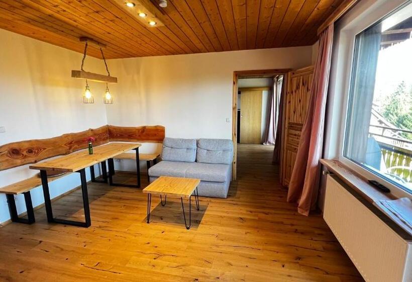 Апартаменты 1 Спальня с Балконом, Boutique Hotel And Apartments Pension Sternen