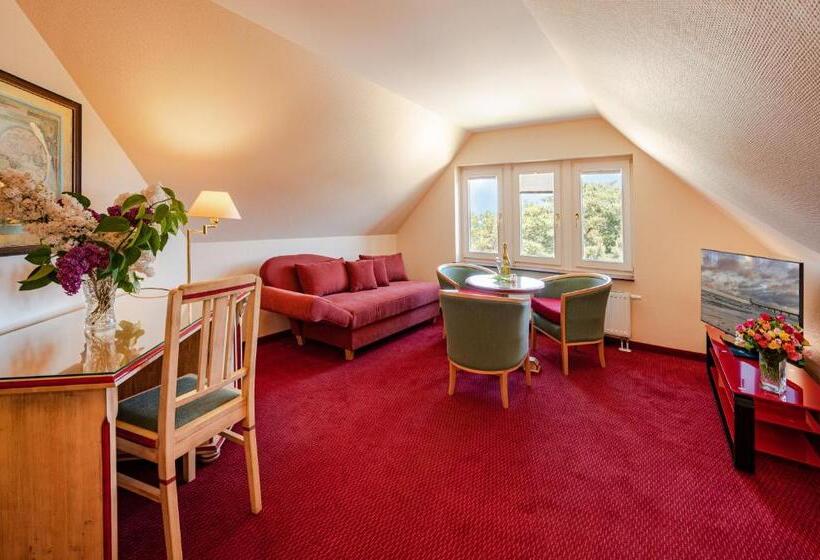 Полулюкс Вид на Море, Vineta Strandhotels