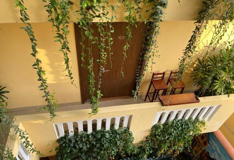 家庭间, The View Homestay Hội An