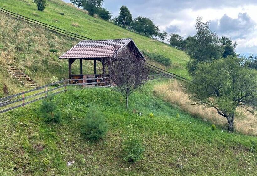 Номер Стандарт, Pensiunea Magura