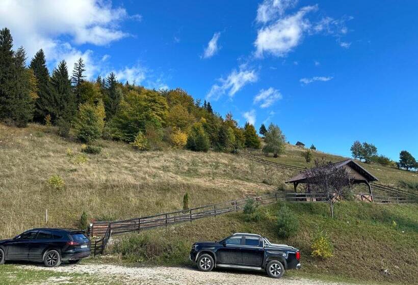 Номер Стандарт, Pensiunea Magura