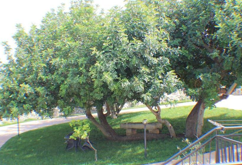 اتاق اکونومی, Le Due Palme
