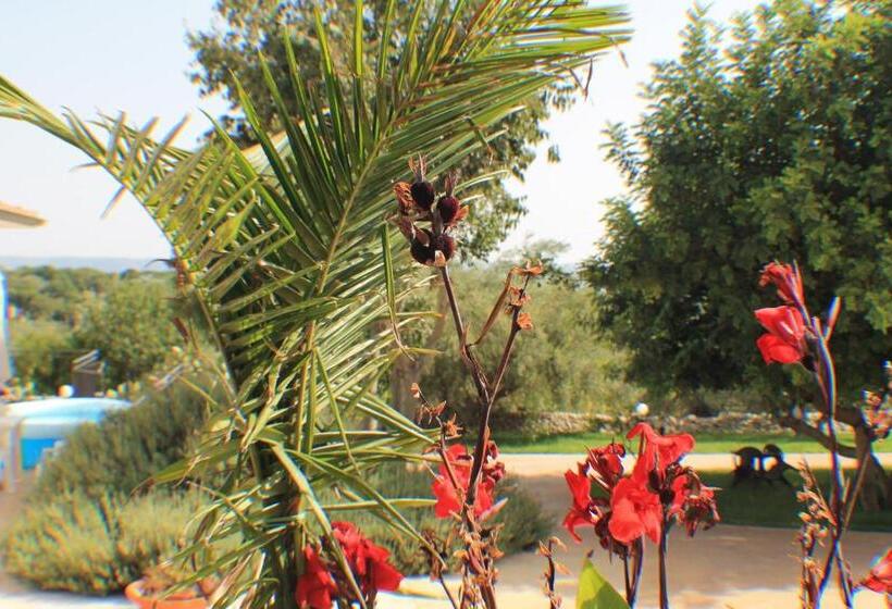 اتاق استاندارد برای معلولان, Le Due Palme