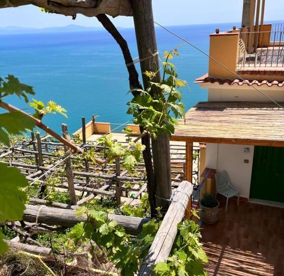 Apartamento 1 Dormitório Vista Mar, Tenuta La Picola