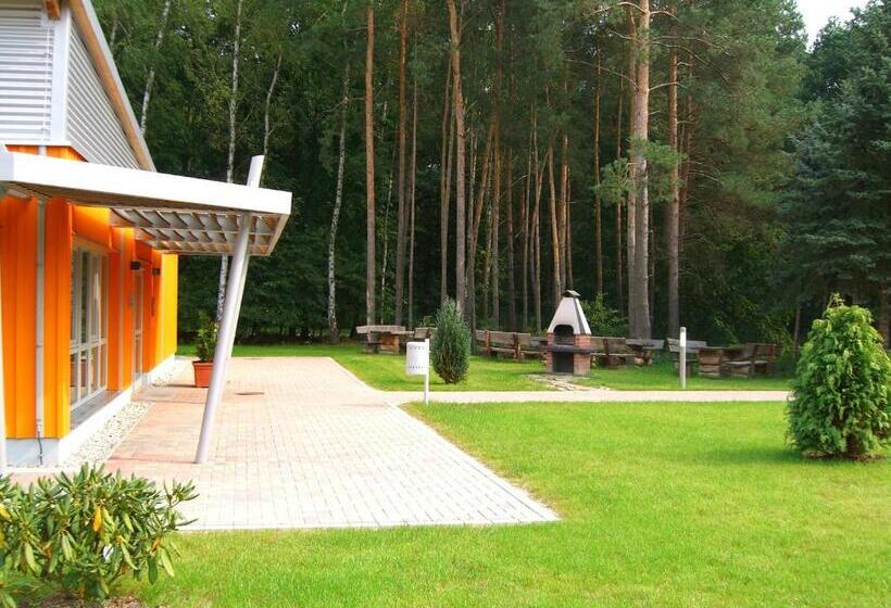 Четырехместный Номер Стандарт, Forum Grillensee