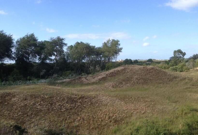Полулюкс, Ara Dune