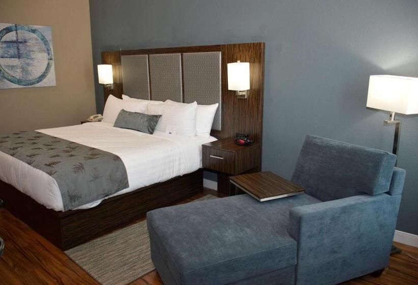 Номер Стандарт Кровать Кинг Адаптированный для Инвалидов, Best Western Plus Pflugerville Inn & Suites