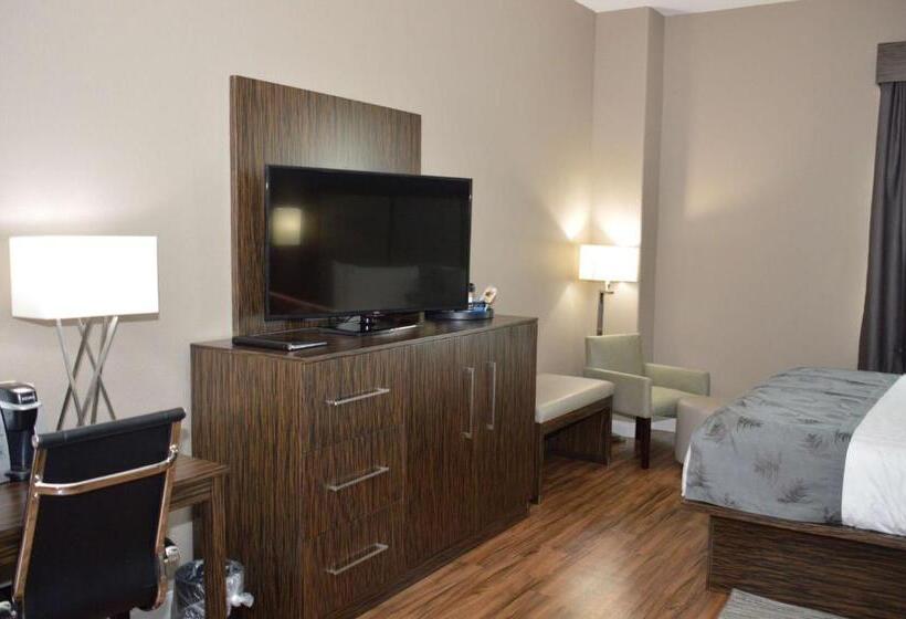 스탠다드 룸, Best Western Plus Pflugerville Inn & Suites