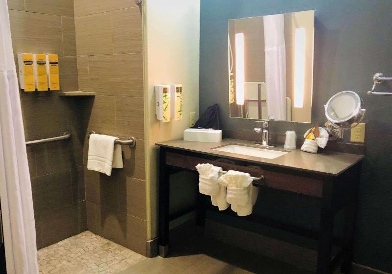 스탠다드 룸, Best Western Plus Pflugerville Inn & Suites