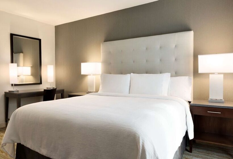 스탠다드 스튜디오 더블 침대, Embassy Suites By Hilton Greenville Downtown Riverplace