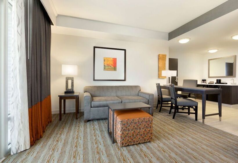 스위트, Embassy Suites By Hilton Greenville Downtown Riverplace