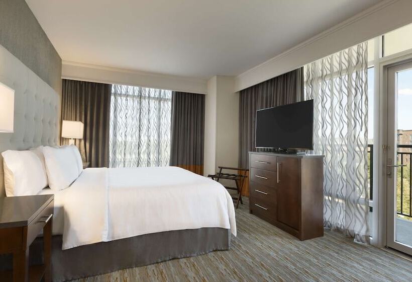 스탠다드 스튜디오 더블 침대, Embassy Suites By Hilton Greenville Downtown Riverplace