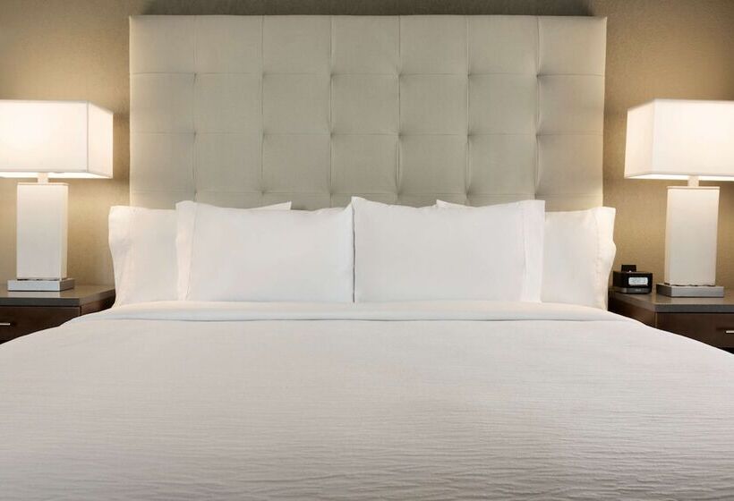 장애인을 위한 스위트, Embassy Suites By Hilton Greenville Downtown Riverplace