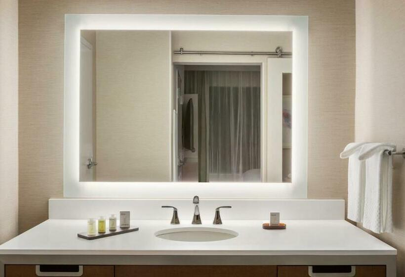 Студио Стандарт Кровать Кинг, Embassy Suites By Hilton Mcallen Convention Center