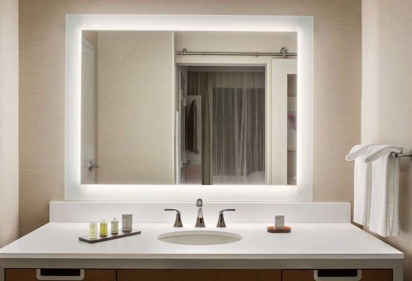 Люкс 2 Спальни, Embassy Suites By Hilton Mcallen Convention Center