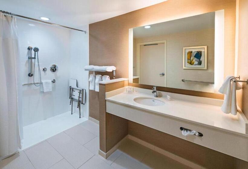 Стандартный Номер Кровать Кинг, Fairfield Inn & Suites By Marriott Dallas Waxahachie