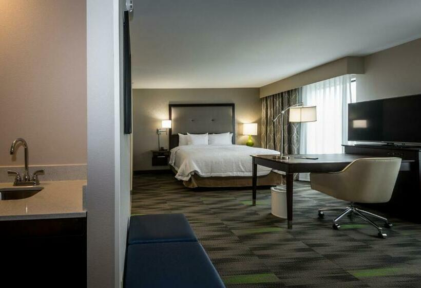 キングサイズベッドのデラックススイート, Hampton Inn & Suites Hammond
