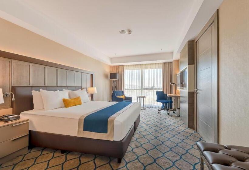 适合残疾人使用的标准间, Holiday Inn Kayseri   Duvenonu, An Ihg