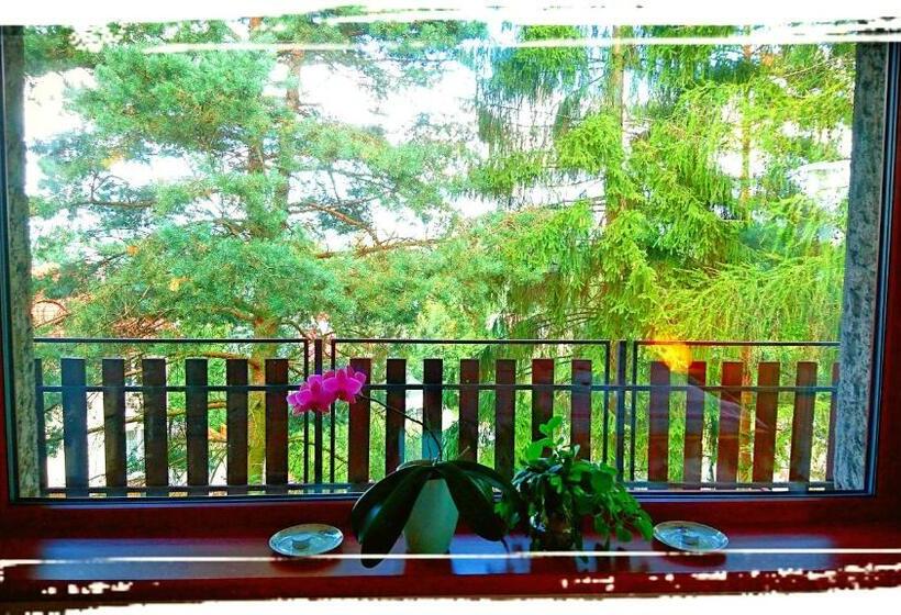 Апартаменты 2 Спальни с Балконом, Penzion Bor