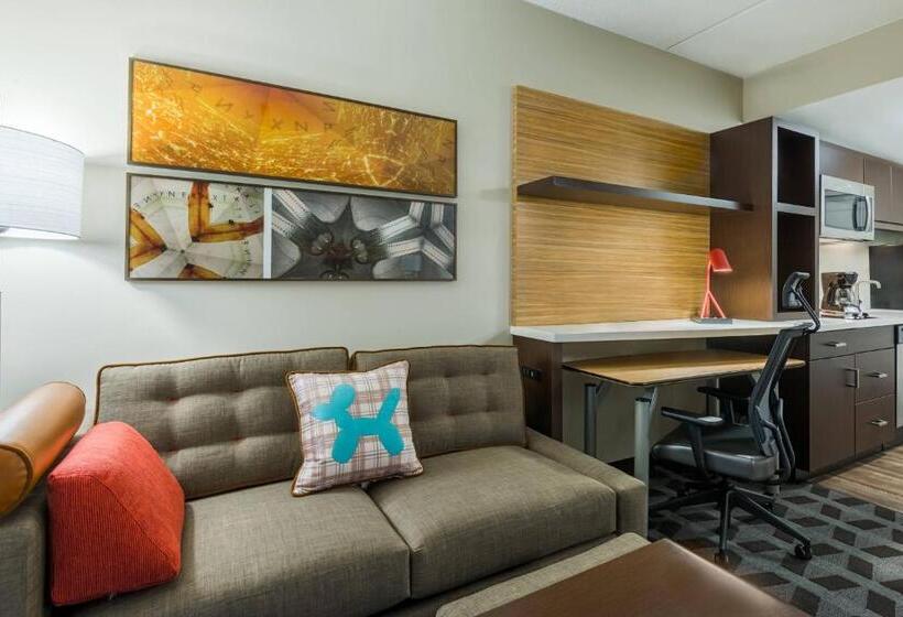 Студио Стандарт Кровать Кинг, Towneplace Suites By Marriott Latham Albany Airport