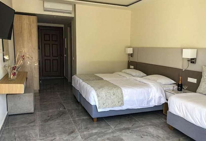 اتاق سوپریور سه تخته, Athina