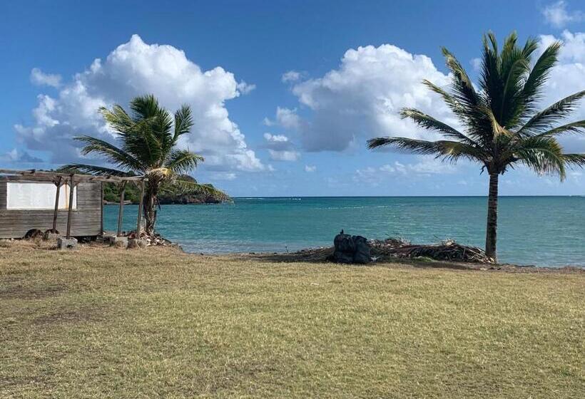 آپارتمان 1 خوابه, Les Plages De Macabou