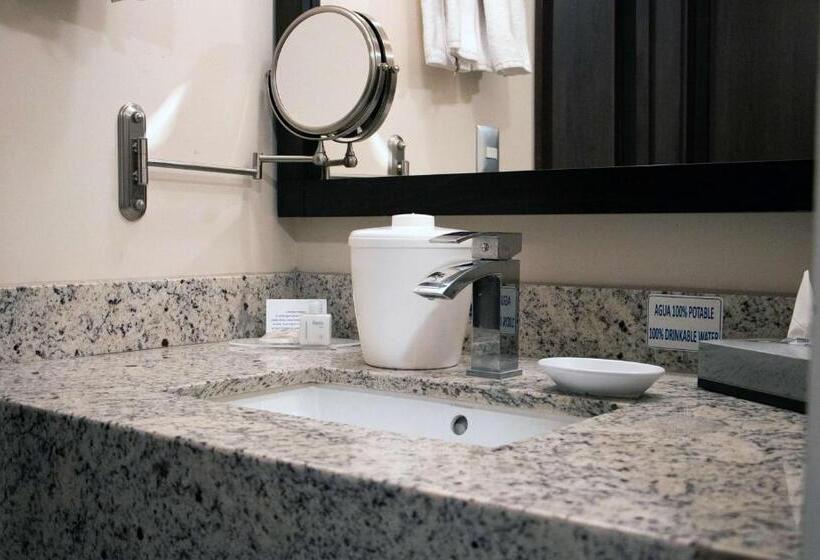 سوئیت با تخت بزرگ, Best Western Plus Chihuahua Juventud