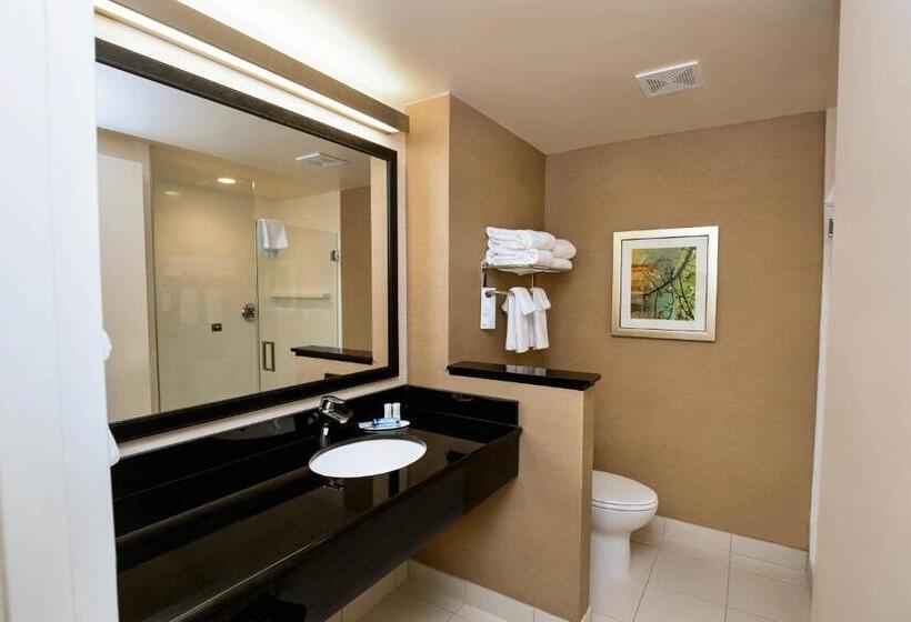 Номер Стандарт, Fairfield Inn & Suites By Marriott Richmond Midlothian
