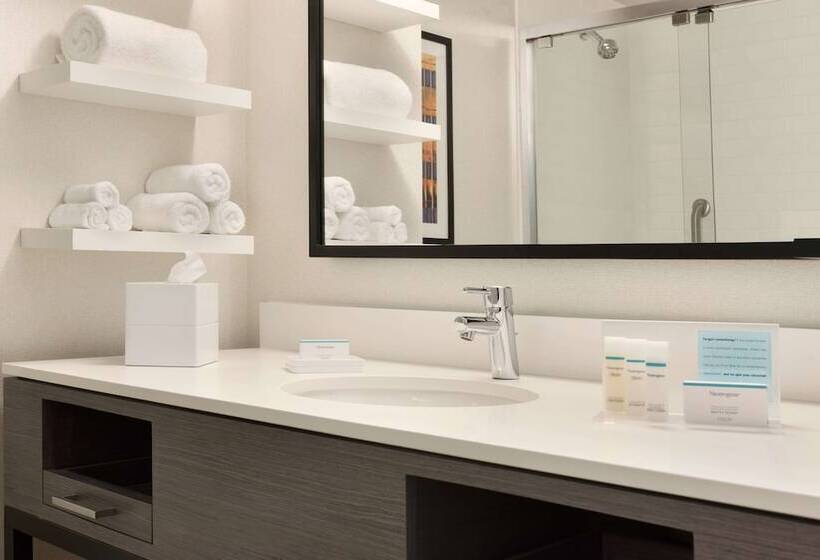 Quarto Standard 2 Camas Casal, Hampton Inn Chicago West Loop Fulton Market Area