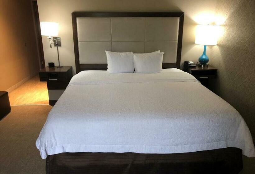 Стандартный Номер Кровать Кинг, Hampton Inn & Suites Tampa Busch Gardens Area