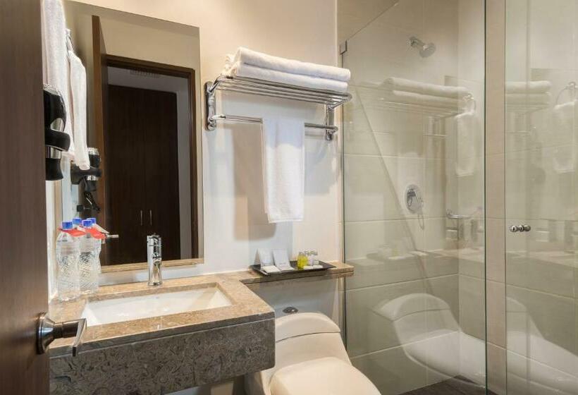 带大床的标准间, Best Western Plus Santa Marta