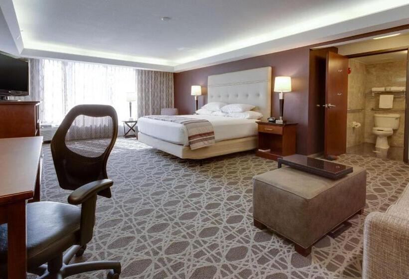 اتاق لوکس با تخت بزرگ, Drury Inn & Suites Overland Park