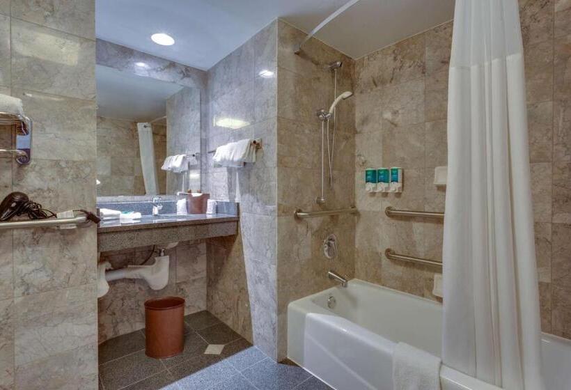 اتاق دلوکس مخصوص معلولین, Drury Inn & Suites Overland Park