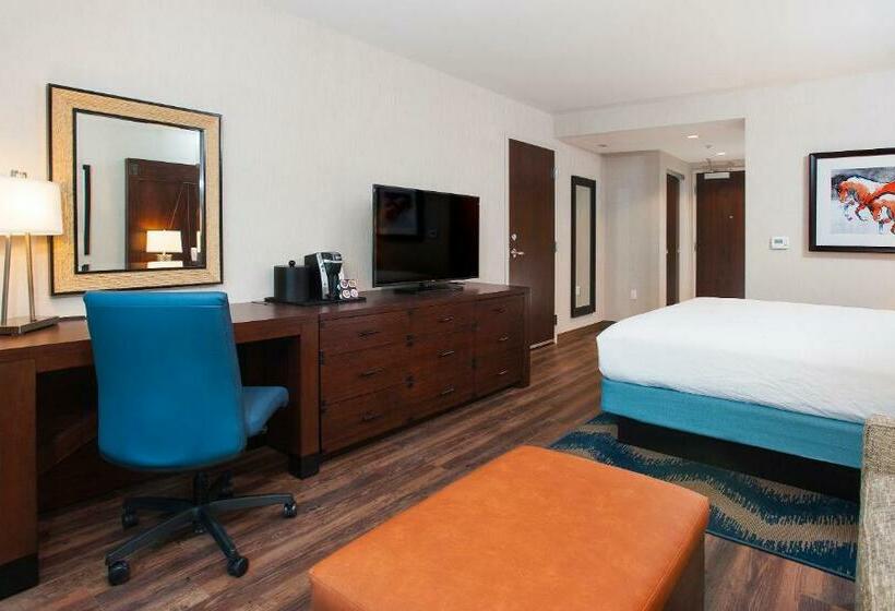Номер Стандарт Кровать Кинг Адаптированный для Инвалидов, Hilton Garden Inn Burbank Los Angeles