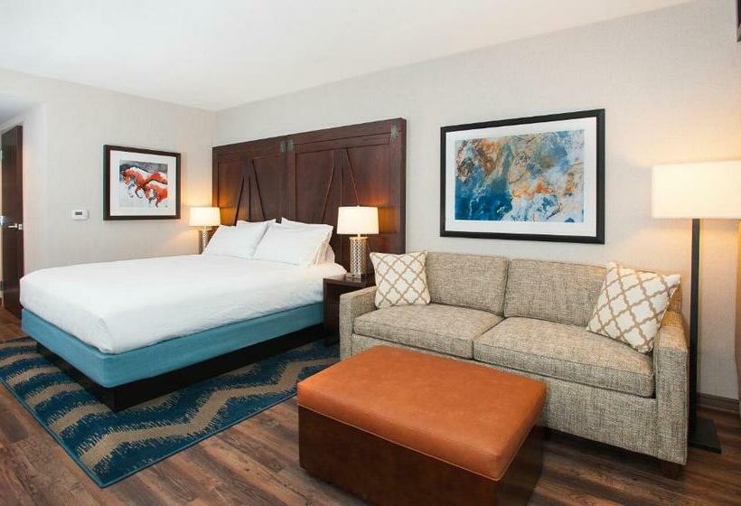 Стандартный Номер Кровать Кинг, Hilton Garden Inn Burbank Los Angeles