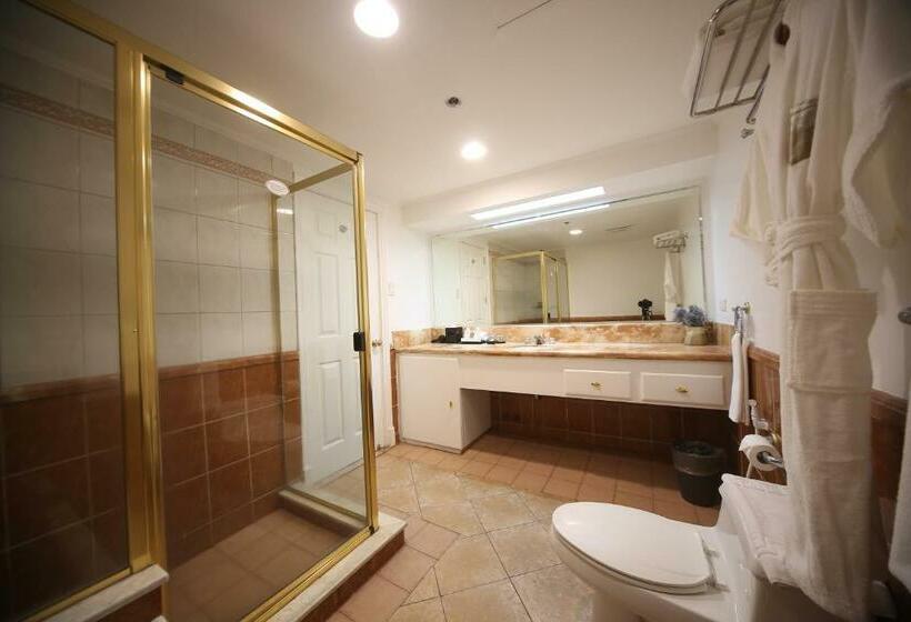 Escritório Estándar, Infinity Tower Suites