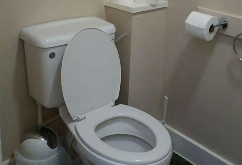 Номер Стандарт Трехместный, The Swan Inn Pub