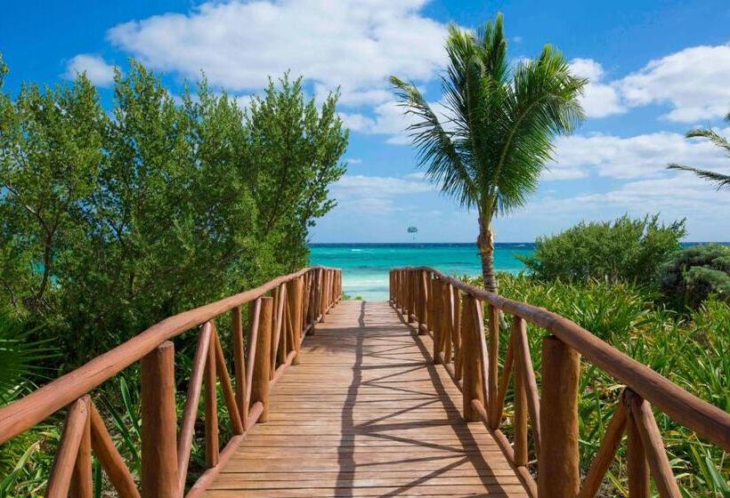 غرفة قياسية, Unico Hotel Riviera Maya Adults Only